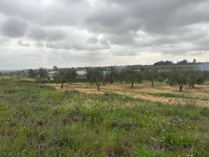 Finca en Las Palma del Condado - Huelva