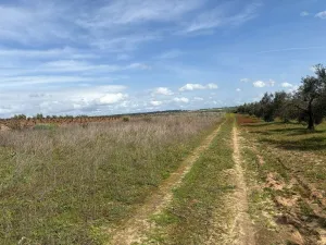 Finca en Huelva, Bollullos Par del Condado