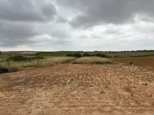 Finca en Bollullos par del condado Bollullos