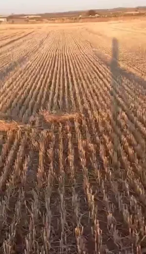 FINCA RUSTICA EN ALMAGRO, CIUDAD REAL, ESPAÑA