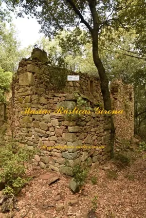 Finca de 79 hectáreas en Susqueda