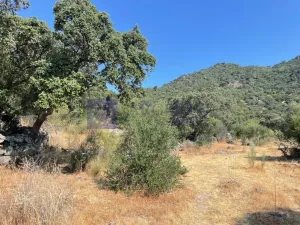 Finca 50 ha Alcuescar