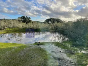 FINCA  110 HECTÁREAS EN LA ZONA DE ALCUESCAR