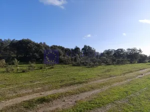 Finca Ganadera 190 ha en Cáceres