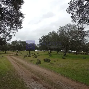 Finca de 220 ha zona Guadalupe