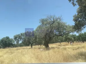 Finca Ganadera de 215 ha en Alcuéscar