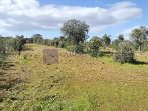 Finca Ganadera Membrío