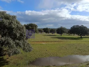 Se vende finca Ganadera 700 ha Navalmoral