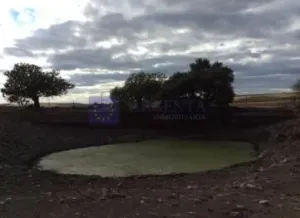 Finca Ganadera de 180 ha zona Plasencia