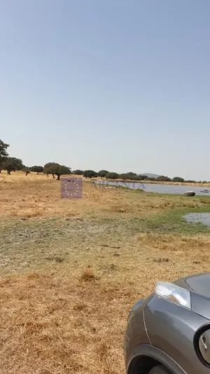 Finca Ganadera 600 ha Alcuéscar