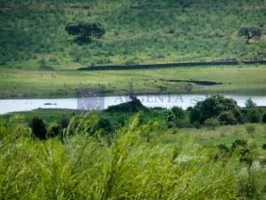 Finca Ganadera 250 ha en Trujillo