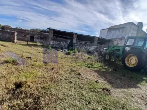 Se Vende Finca Regadío en Coria