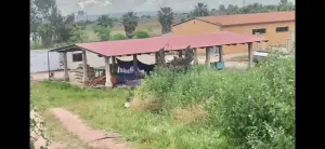 Se Vende Finca Ganadera/Industrial