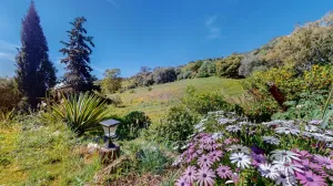 Villa de estilo rustico en Casares, parcela 30.000m