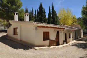 Finca en Torremanzanas