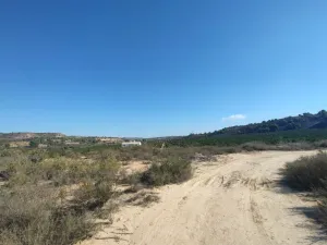 Finca Rustica en Orihuela - Alicante