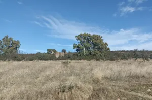 Venta finca rústica en Monterrubio La Serena