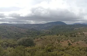 Finca Rústica en Huelma