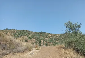 Finca Rústica en Málaga