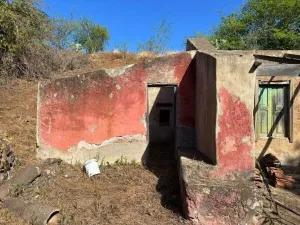 Finca en Moya - Las Palmas