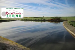 Finca de cultivo en Hinojosa del Duque.