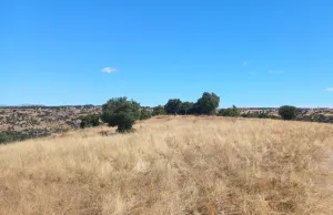 Finca Rústica en Colmenar Viejo