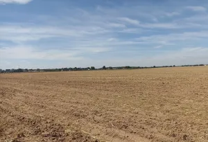 Finca Rústica en Albacete