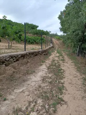 FINCA RÚSTICA  EN LA ZONA CÁLIDA DE LA SIERRA