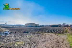 Finca rústica de regadío en la Vega de Granada. (Facil acceso a pie de ctra.)