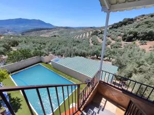 FINCA DE RECREO Y OLIVAR