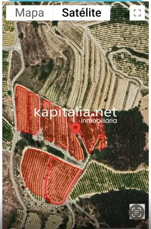 FINCA DE NARANJOS A LA VENTA EN LA LLOSA DE RANES