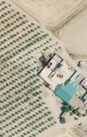 Espectacular finca de olivos en Jaén