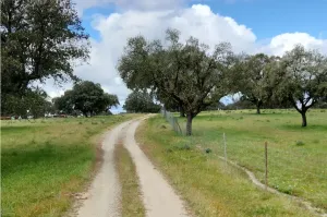 FINCA GANADERA DE 700HA EN EL NORESTE DE CÁCE