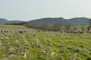 FINCA GANADERA Y DE CULTIVO CERCA DE CÁCERES