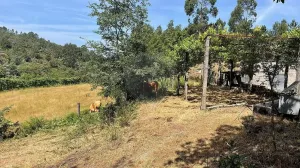 Finca en Cidade de Fafe