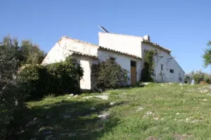 VENTA DE FINCA OLIVAR Y MONTE EN JAÉN