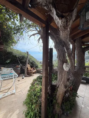 Casa Terrera en Finca Rústica en Guimar, Barranco de Badajoz