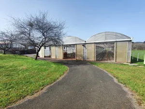 explotación agrícola en Llanera