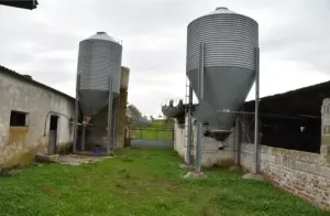 se vende o alquila finca de 1,5 hectarea