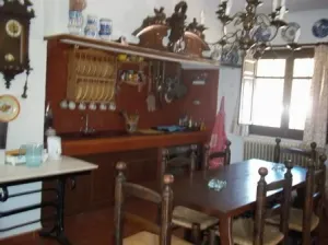 Finca rustica olivar y recreo