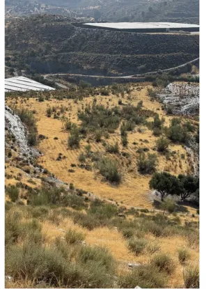 Gran finca rústica de regadío de 51.000 m² en