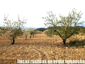 finca en venta 125 has. labor-almendros-monte