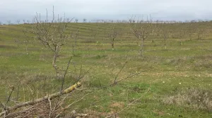 VENTA FINCA 7 HECTÁREAS