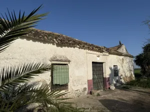 FINCA RÚSTICA PRODUCTIVA EN CAMPIÑA ECIJANA