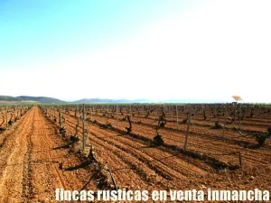 finca en venta 366 has. labor viña en Toledo