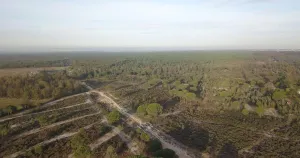 Finca de 159 ha en Doñana /Coto privado