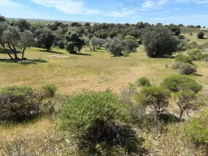 Bonita finca de recreo a 30 minutos de Madrid