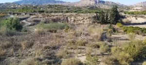 Huerta con casa de aperos, punto de luz y aljibe en los tollos, Archena.
