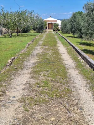 Finca rustica La palma del Condado