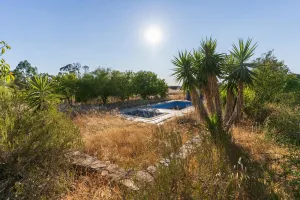 Oportunidad Única: Venta de Complejo de Aloja